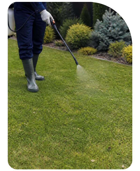 Обработка участка от кротов в Чебоксарах по цене от 3599 р. | Сенат-Чбк